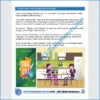 Adulting Life Skills Resources SPED Independent Living Skills Social stories for middle and high school students cover How to Stick to a Budget.